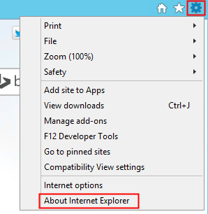 IE 9 About