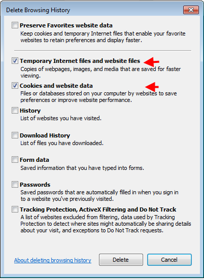 IE delete browser history
