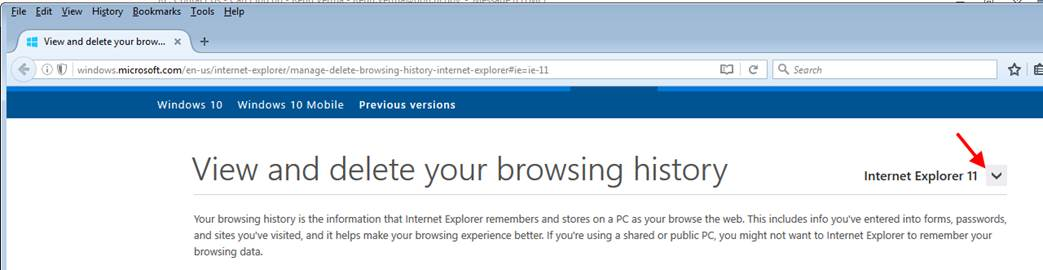 IE manage deleting browser history